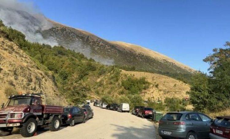 Ιωάννινα: Αναζωπυρώθηκε η πυρκαγιά στους Δρυμάδες Πωγωνίου