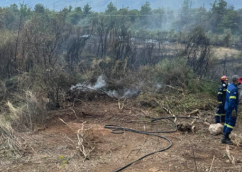 Δύο άτομα προσήχθησαν για τη φωτιά στην Πλάκα Λιτοχώρου
