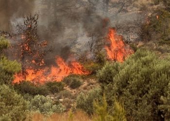Συνελήφθη 80χρονος που κατηγορείται για την πρόκληση από πρόθεση τεσσάρων πυρκαγιών στα Γλυκά Νερά