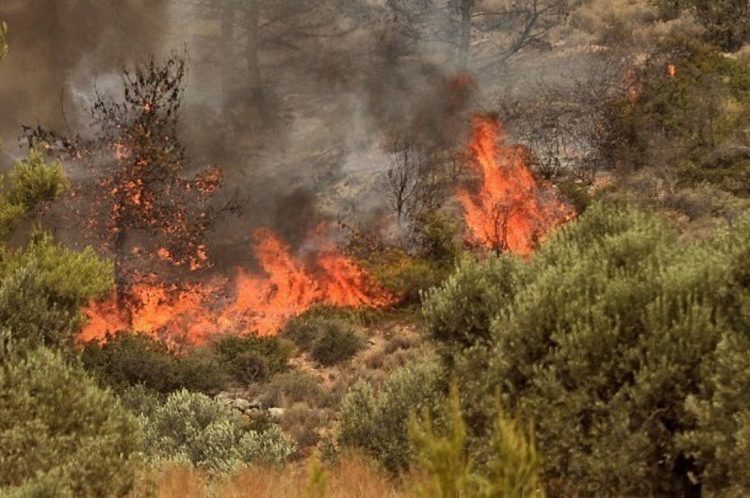 Συνελήφθη 80χρονος που κατηγορείται για την πρόκληση από πρόθεση τεσσάρων πυρκαγιών στα Γλυκά Νερά