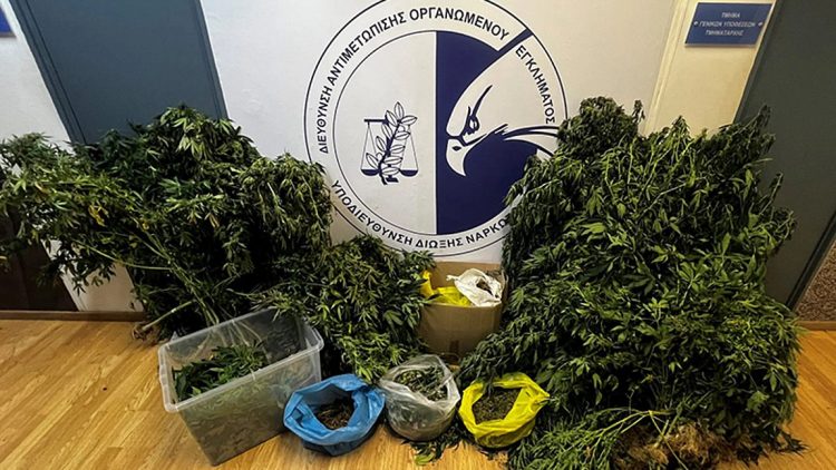 Καλύβια: Σύλληψη μέλους συμμορίας που καλλιεργούσε υδροπονική κάνναβη – Κατασχέθηκε ποσότητα ενός κιλού