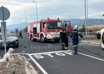 Λαμία: Νεκρός 54χρονος σε τροχαίο – Το σκυλάκι του διασώθηκε και περίμενε τον ιδιοκτήτη του δίπλα στο τρακάρισμα