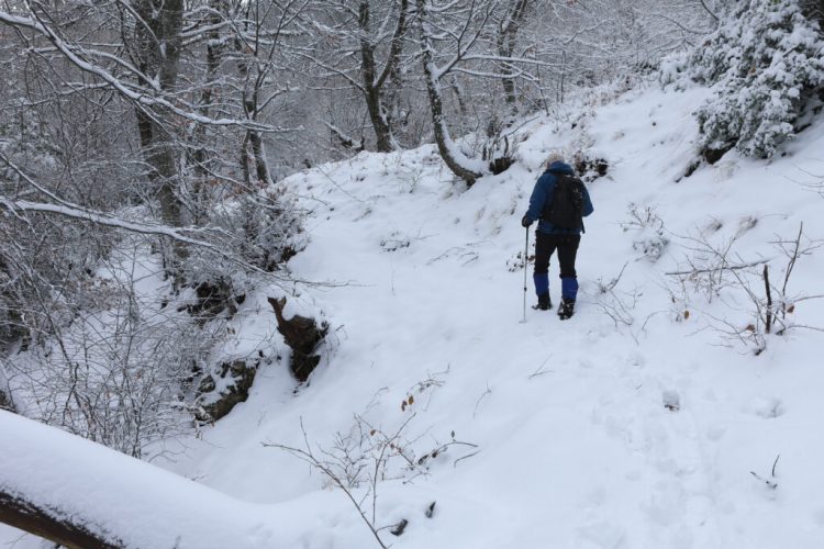 Καιρός: Διήμερο με «σφοδρές» χιονοπτώσεις από Θράκη έως Στερεά Ελλάδα – Χιόνια και σε νησιά
