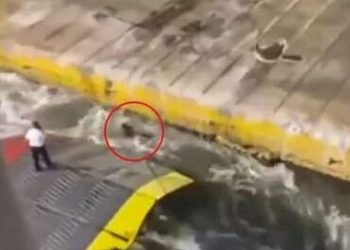 Αντώνης Καργιώτης: «Μου φάνηκε επικίνδυνος» – Η απολογία του υπάρχου στη δίκη