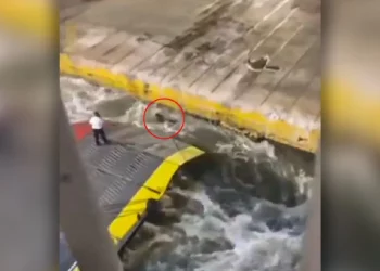 «Βρέθηκα σε ηθικό δίλημμα» είπε στην απολογία του ο πλοίαρχος για την δολοφονία Αντώνη Καρυώτη