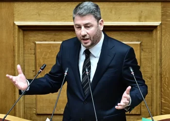 Ανδρουλάκης: Ο Τριαντόπουλος ήταν παρατηρητής της παρανομίας