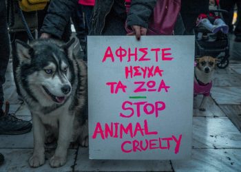 Βόλος: Κάθειρξη 5 ετών, τα δύο σε ψυχιατρείο, για τον σφαγέα αδέσποτων ζώων