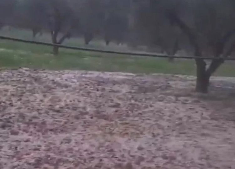 Κορινθία: Ισχυρή χαλαζόπτωση σε Αρχαία Νεμέα και Δερβενάκια – ΒΙΝΤΕΟ