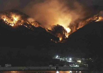 Ιαπωνία: Η χειρότερη δασική πυρκαγιά των τελευταίων 50 ετών τέθηκε υπό έλεγχο