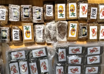 Οι ρόλοι των γόνων εύπορων οικογενειών που διακινούσαν ναρκωτικά σε… κουτάκια χυμού και μπουκάλια λαδιού