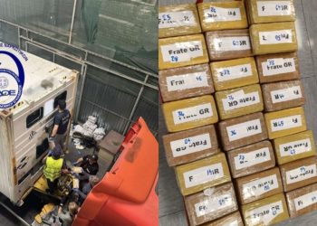 ΣΔΟΕ: Κατασχέθηκε κοκαΐνη 56 κιλών σε φορτίο…με γαρίδες από το Εκουαδόρ – ΒΙΝΤΕΟ