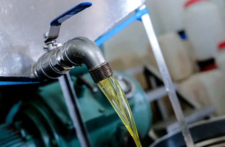 Αποθήκη με εκατοντάδες λίτρα νοθευμένου ελαιόλαδου στη Δυτική Θεσσαλονίκη – Μεγάλη επιχείρηση της ΕΛΑΣ