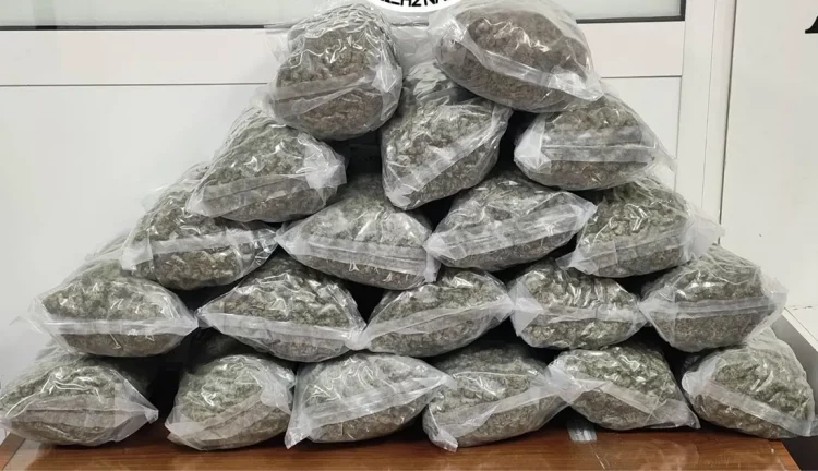 Κιλκίς: 24χρονος μετέφερε πάνω από 21 κιλά κάνναβης στο όχημά του