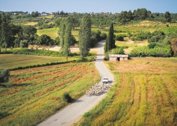 Έκαναν τα οικόπεδα χωράφια – Η κυβέρνηση απαξιώνει την περιουσία χιλιάδων μικροϊδιοκτητών