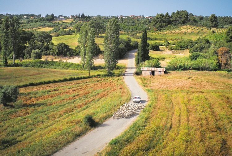 Έκαναν τα οικόπεδα χωράφια – Η κυβέρνηση απαξιώνει την περιουσία χιλιάδων μικροϊδιοκτητών