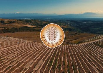 Σύγκρουση ΟΠΕΚΕΠΕ – Ευρωπαϊκής Εισαγγελίας: Αρνείται να παραιτηθεί ο Σαλάτας;