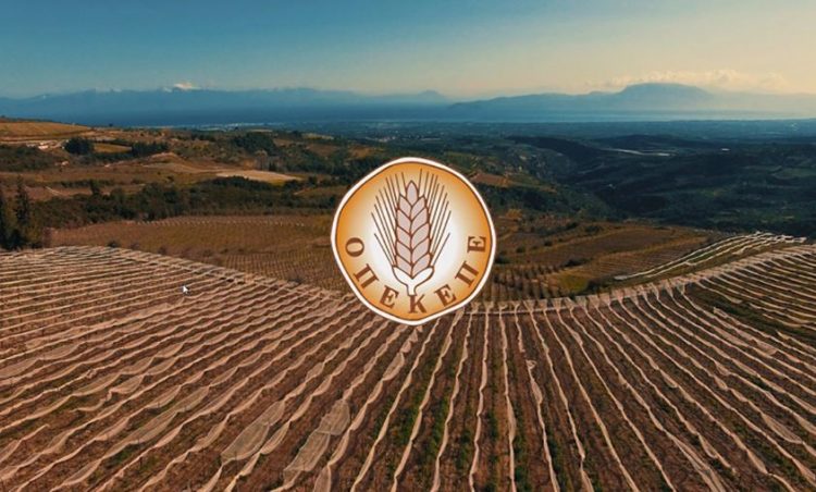 Σύγκρουση ΟΠΕΚΕΠΕ – Ευρωπαϊκής Εισαγγελίας: Αρνείται να παραιτηθεί ο Σαλάτας;