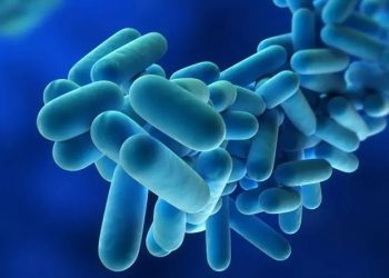 Τι είναι η νόσος των Λεγεωναρίων – Ενημέρωση από τον ΕΟΔΥ