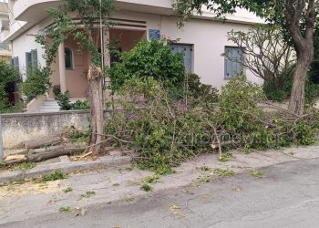 Κρήτη: Προβλήματα λόγω των ισχυρών ανέμων – Έπεσαν δέντρα, δεν προσγειώθηκαν αεροπλάνα στο αεροδρόμιο Ηρακλείου