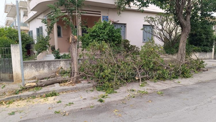 Κρήτη: Προβλήματα λόγω των ισχυρών ανέμων – Έπεσαν δέντρα, δεν προσγειώθηκαν αεροπλάνα στο αεροδρόμιο Ηρακλείου