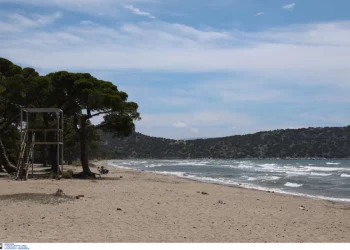 Κατεπείγουσα εισαγγελική έρευνα για παράνομες κατασκευές στο πάρκο του Σχινιά