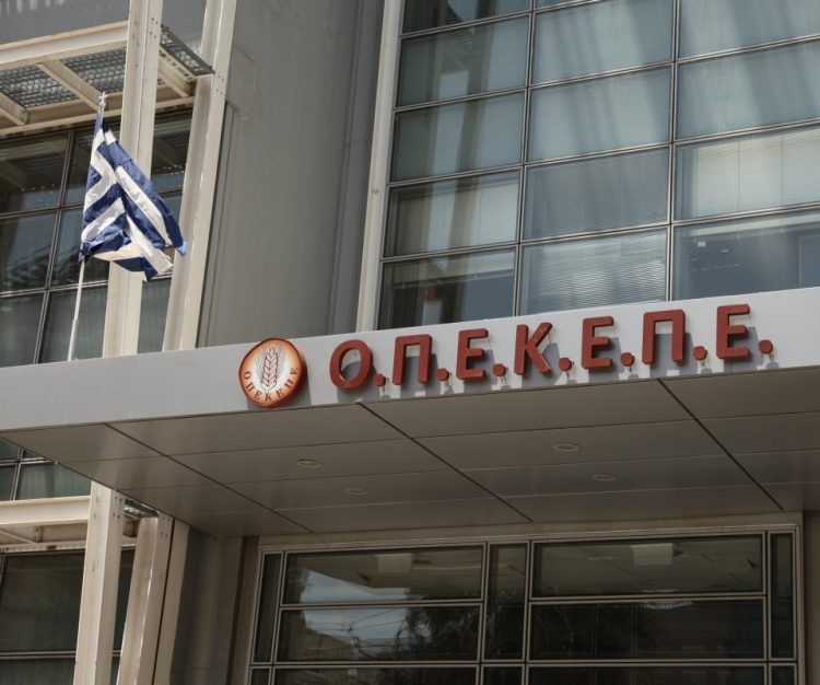 Δύο ακόμη παραιτήσεις στελεχών της ΝΔ για την υπόθεση του ΟΠΕΚΕΠΕ