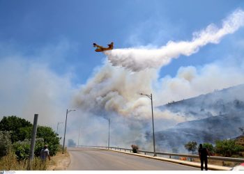 Χίος: Πέντε τα πύρινα μέτωπα στο νησί – Ενισχύονται οι δυνάμεις της Πυροσβεστικής