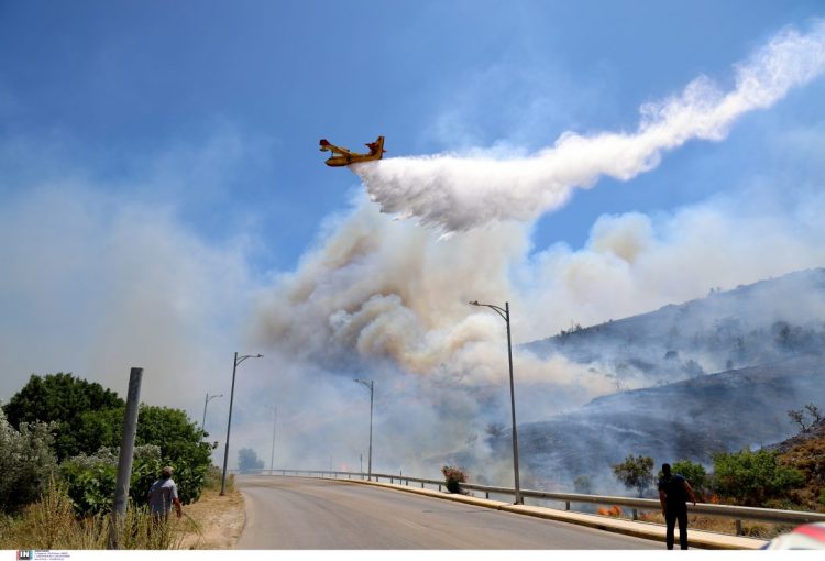 Χίος: Πέντε τα πύρινα μέτωπα στο νησί – Ενισχύονται οι δυνάμεις της Πυροσβεστικής