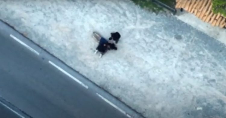 Μαραθώνας: Η στιγμή της σύλληψης 29χρονου για διακίνηση ναρκωτικών – ΒΙΝΤΕΟ