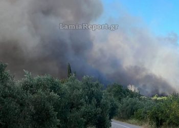 Φθιώτιδα: Σε ύφεση η φωτιά στο Αχλάδι