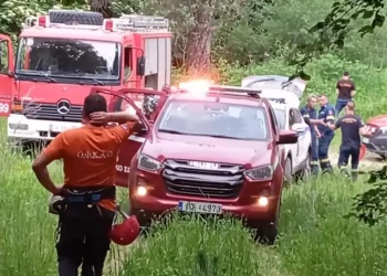 Θάνατος ορειβάτη από επίθεση αρκούδας στη Δράμα: Οι τρεις αστοχίες που οδήγησαν στην τραγωδία