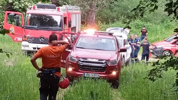 Θάνατος ορειβάτη από επίθεση αρκούδας στη Δράμα: Οι τρεις αστοχίες που οδήγησαν στην τραγωδία