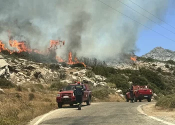 Φωτιά στη Νάξο – Μεταβαίνουν δυνάμεις από Σύρο, Σαντορίνη, Πάρο, Πειραιά, δείτε φωτογραφίες