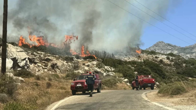 Φωτιά στη Νάξο – Μεταβαίνουν δυνάμεις από Σύρο, Σαντορίνη, Πάρο, Πειραιά, δείτε φωτογραφίες