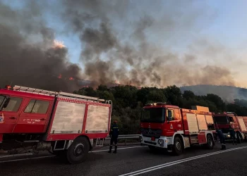 Σε ύφεση η πυρκαγιά στη Ναύπακτο – Παραμένουν σε επιφυλακή οι πυροσβεστικές δυνάμεις