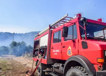 Θεσσαλονίκη: Φωτιά στην Ευκαρπία – Ήχησε το 112