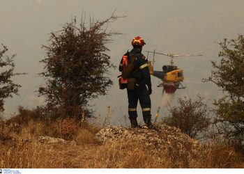 Kοζάνη: Υπό έλεγχο η φωτιά στη ΖΕΠ, νέο μέτωπο φωτιάς στο χωριό Λιβερά