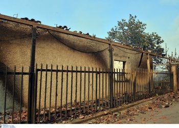 Τι λέει ο αντιπεριφερειάρχης Μεσσηνίας για τις ζημιές από την πυρκαγιά