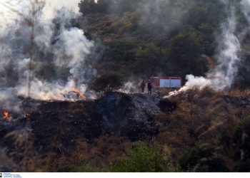 Μάχη με τις φλόγες σε Κύθηρα και Μεσσηνία – Διάσπαρτες εστίες σε Εύβοια, Κρήτη και Λακωνία