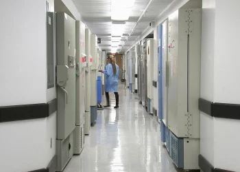 Καλαμάτα: Οργή στο Νοσοκομείο από τις βιαιοπραγίες Ρομά – «Χτυπούν, φυλακίζονται, αποφυλακίζονται και ξανά τα ίδια»