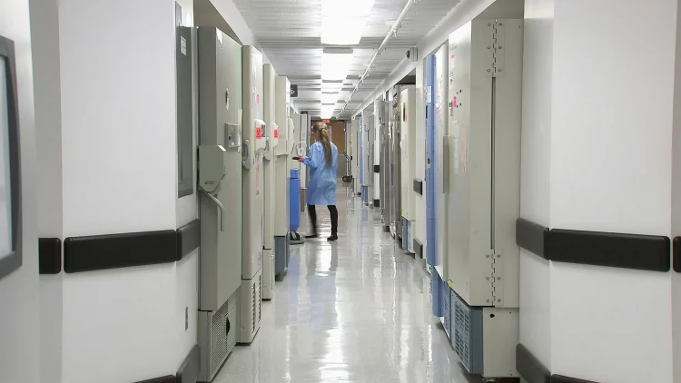 Καλαμάτα: Οργή στο Νοσοκομείο από τις βιαιοπραγίες Ρομά – «Χτυπούν, φυλακίζονται, αποφυλακίζονται και ξανά τα ίδια»