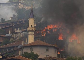 Τουρκία: Δύο δασικές πυρκαγιές απειλούν τον αυτοκινητόδρομο Σμύρνης-Τσεσμέ