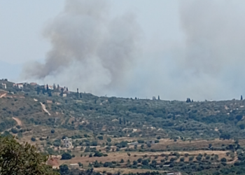 Φωτιά στο Λάχι Λακωνίας – Νέο μήνυμα από το 112 για εκκένωση