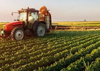 ΕΛΓΑ: Πληρωμή 13,5 εκατ. ευρώ για πυρκαγιές του 2021