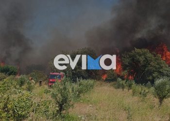 Φωτιά στο Αλιβέρι – Νέο μήνυμα από το 112 για εκκένωση