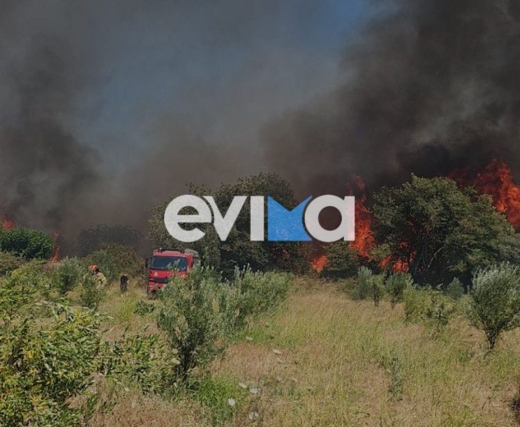 Φωτιά στο Αλιβέρι – Νέο μήνυμα από το 112 για εκκένωση