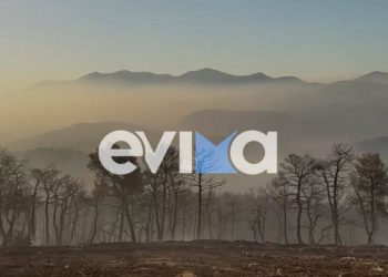 Πυρκαγιά στην Εύβοια: Ξεκίνησαν ρίψεις νερού από τα εναέρια μέσα