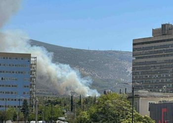 Από μελίσσια ξεκίνησε η φωτιά στην Πολυτεχνειούπολη – Πρόστιμα σε μελισσοκόμους και τον πρύτανη του ΕΚΠΑ