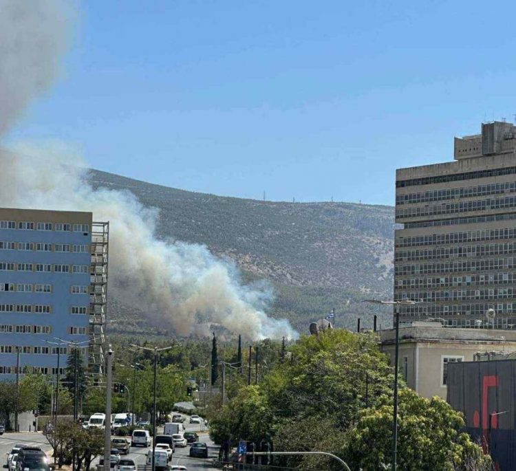 Από μελίσσια ξεκίνησε η φωτιά στην Πολυτεχνειούπολη – Πρόστιμα σε μελισσοκόμους και τον πρύτανη του ΕΚΠΑ