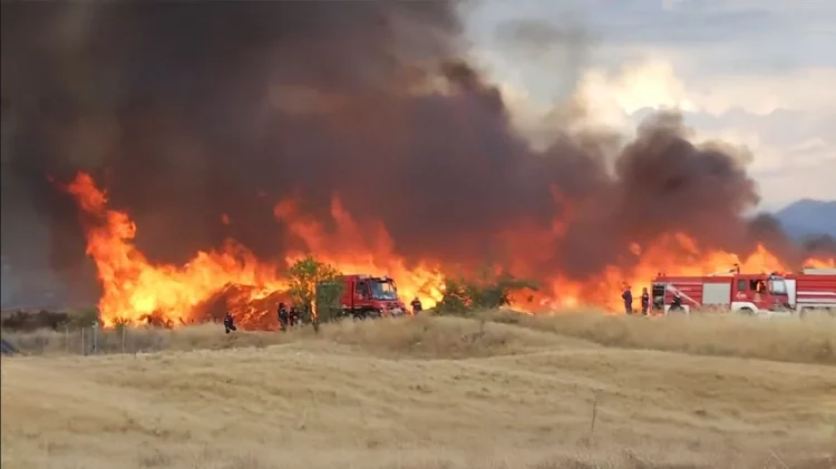 Μήνυμα από το 112 για τη φωτιά στο Νέο Σούλι Σερρών – Στις φλόγες εργοστάσιο ξυλείας